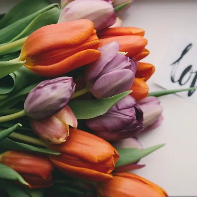 Tulipas com cartão escrito love